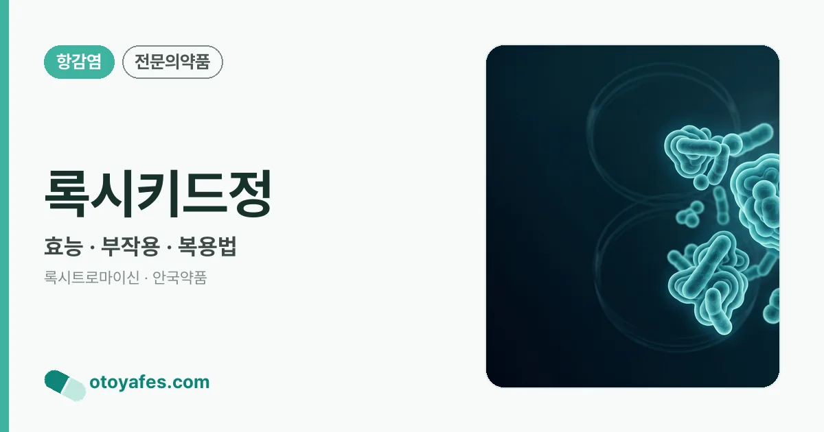 록시키드정 정리 썸네일