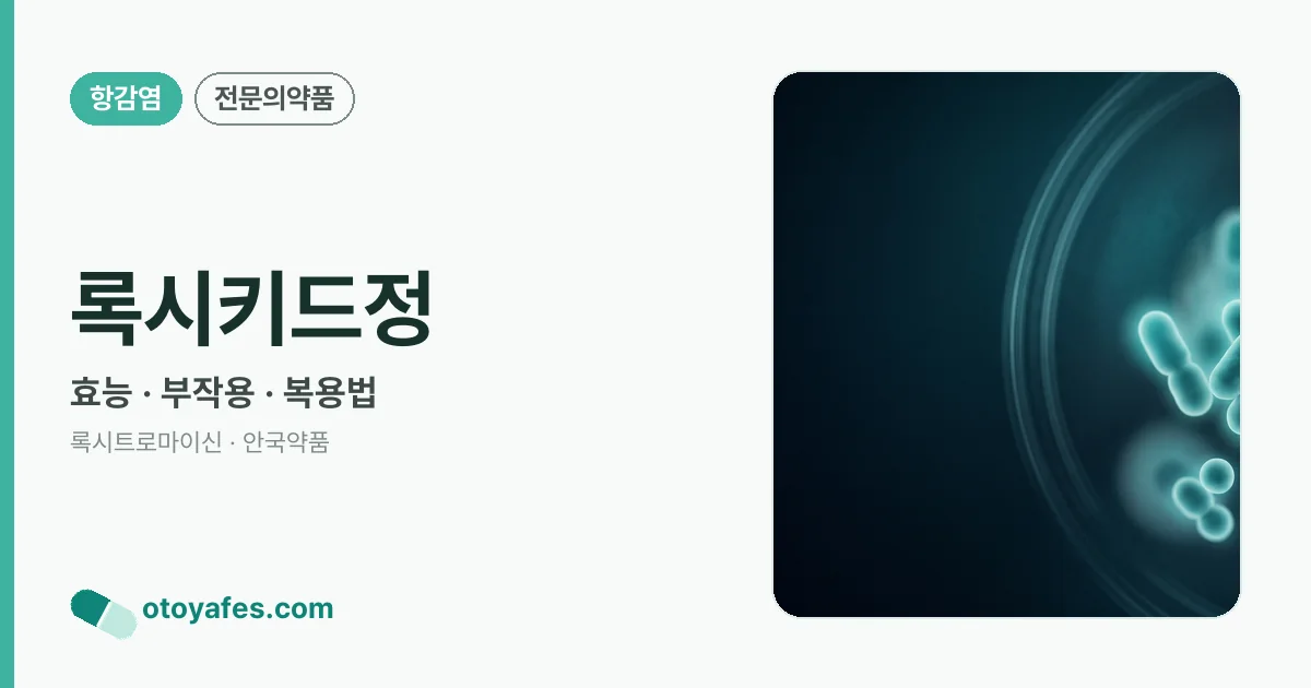 록시키드정 정리 썸네일