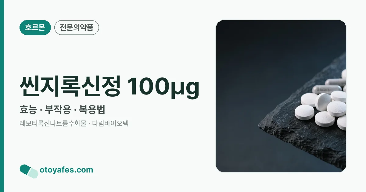 씬지록신정 100㎍ 정리 썸네일
