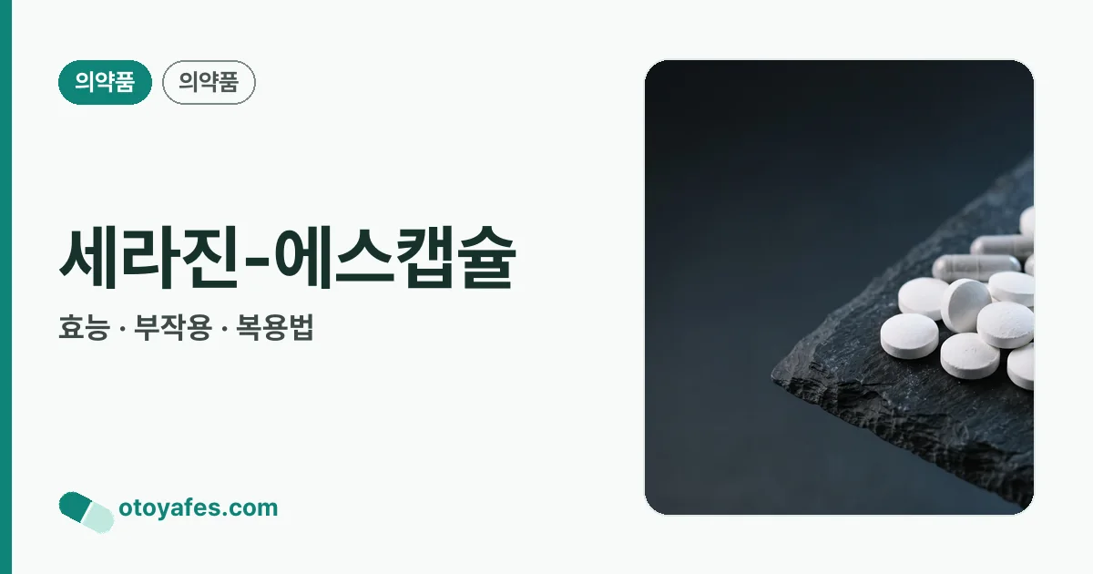 세라진-에스캡슐 정리 썸네일