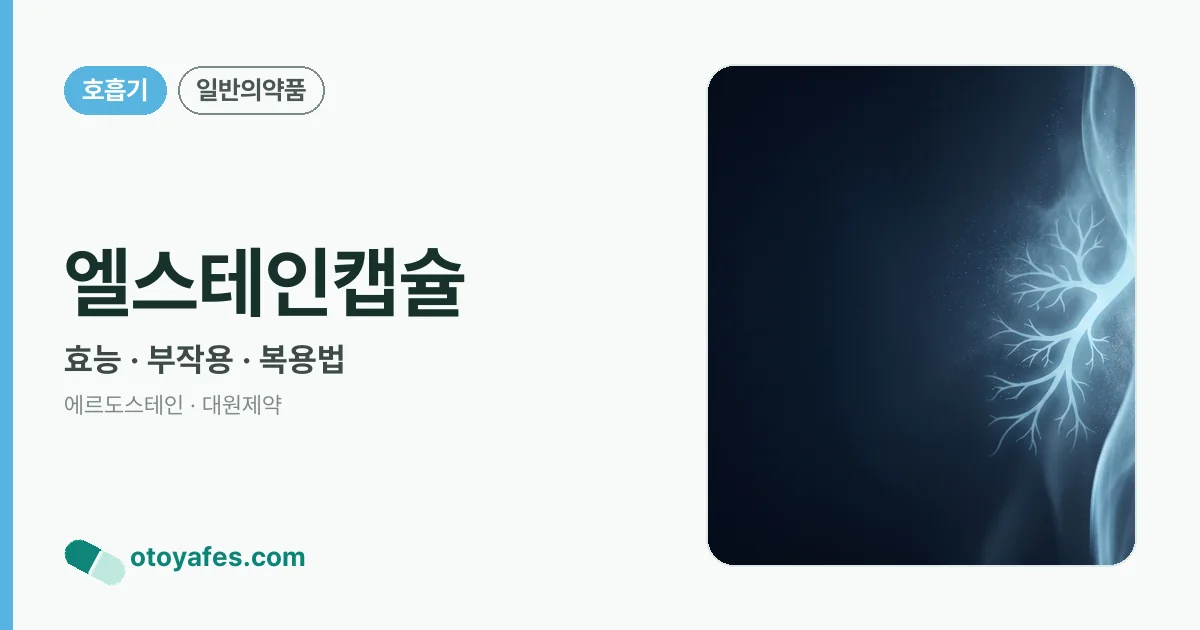 엘스테인캡슐 정리 썸네일