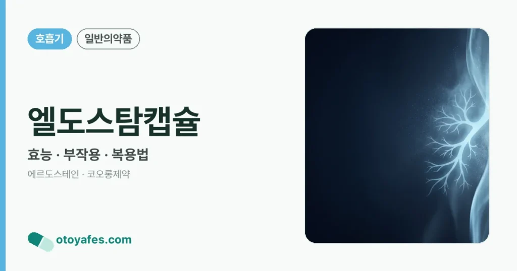엘도스탐캡슐 정리 썸네일