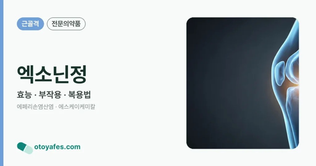엑소닌정 정리 썸네일