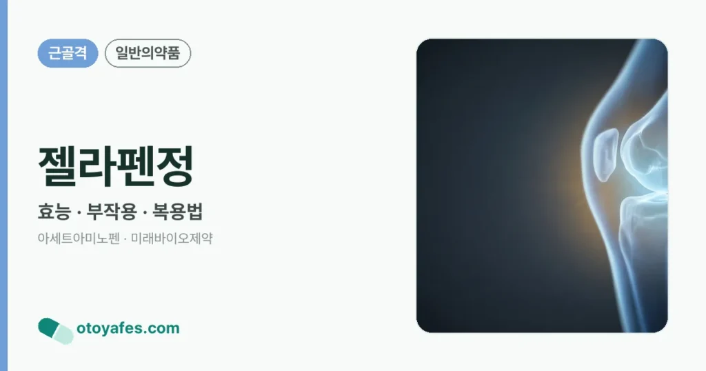 젤라펜정 정리 썸네일