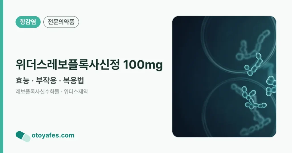 위더스레보플록사신정 100mg 정리 썸네일