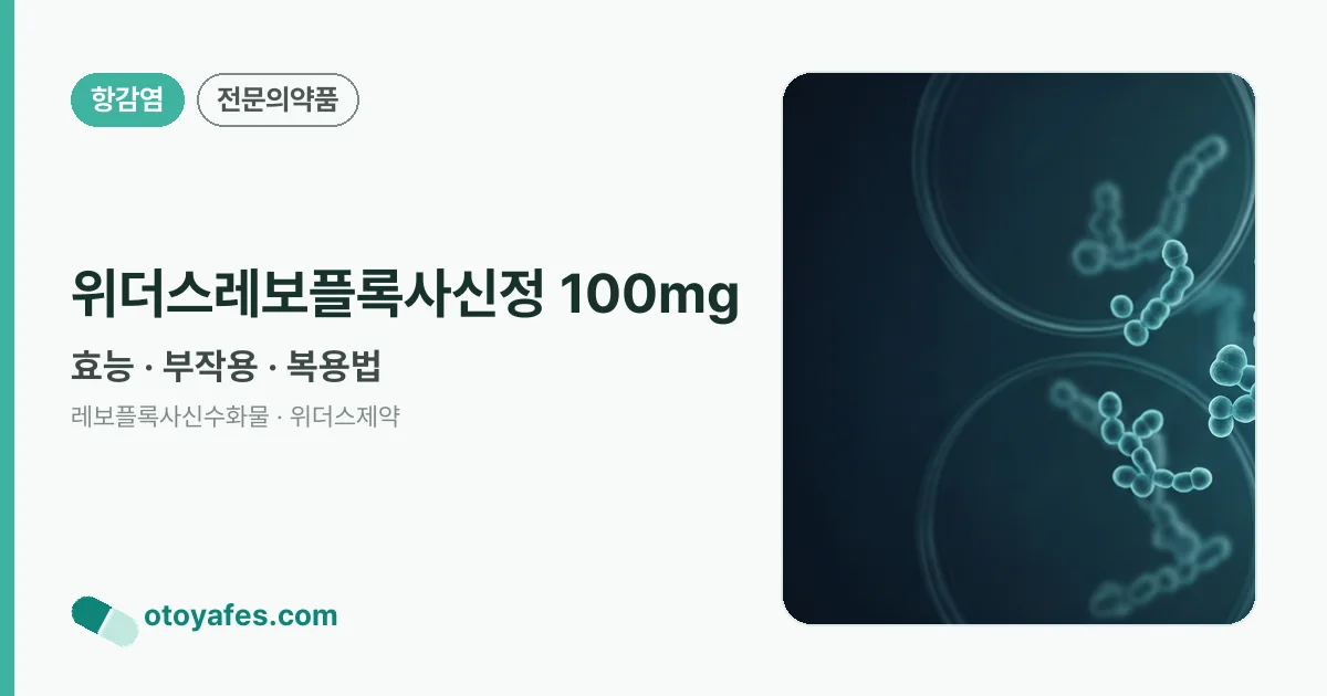 위더스레보플록사신정 100mg 정리 썸네일