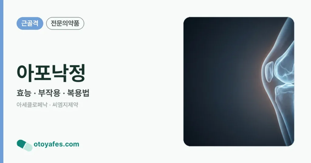 아포낙정 정리 썸네일