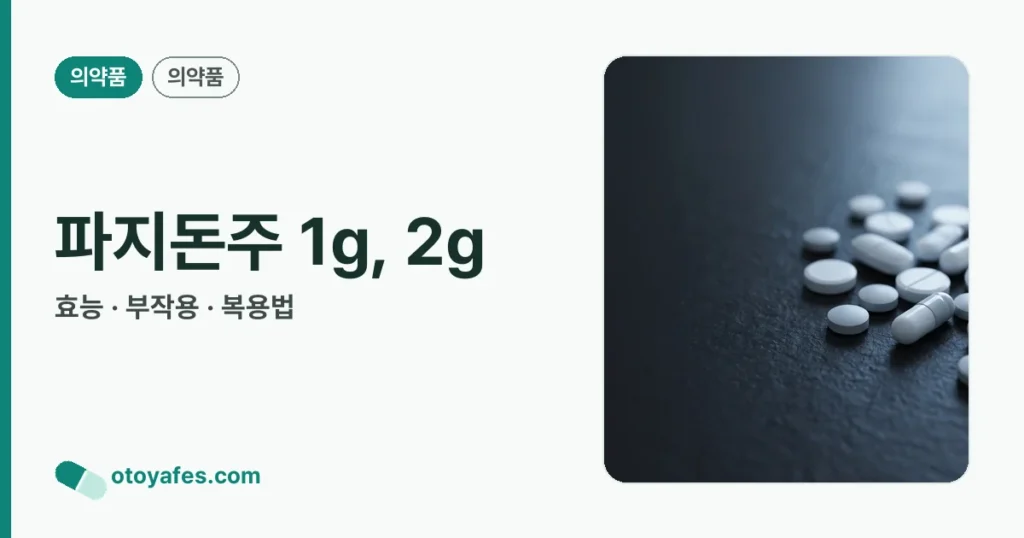 파지돈주 1g, 2g 정리 썸네일