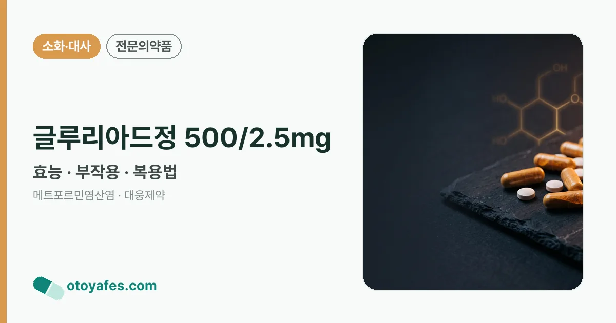 글루리아드정 500/2.5mg 정리 썸네일