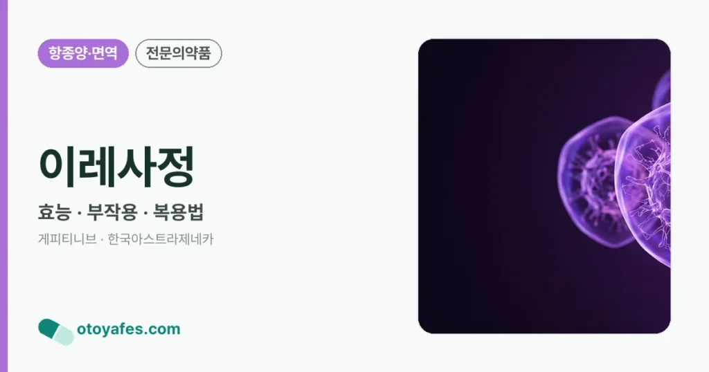 이레사정 정리 썸네일