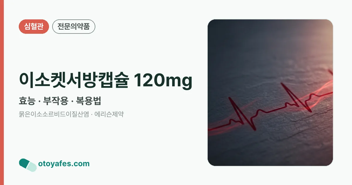 이소켓서방캡슐 120mg 정리 썸네일