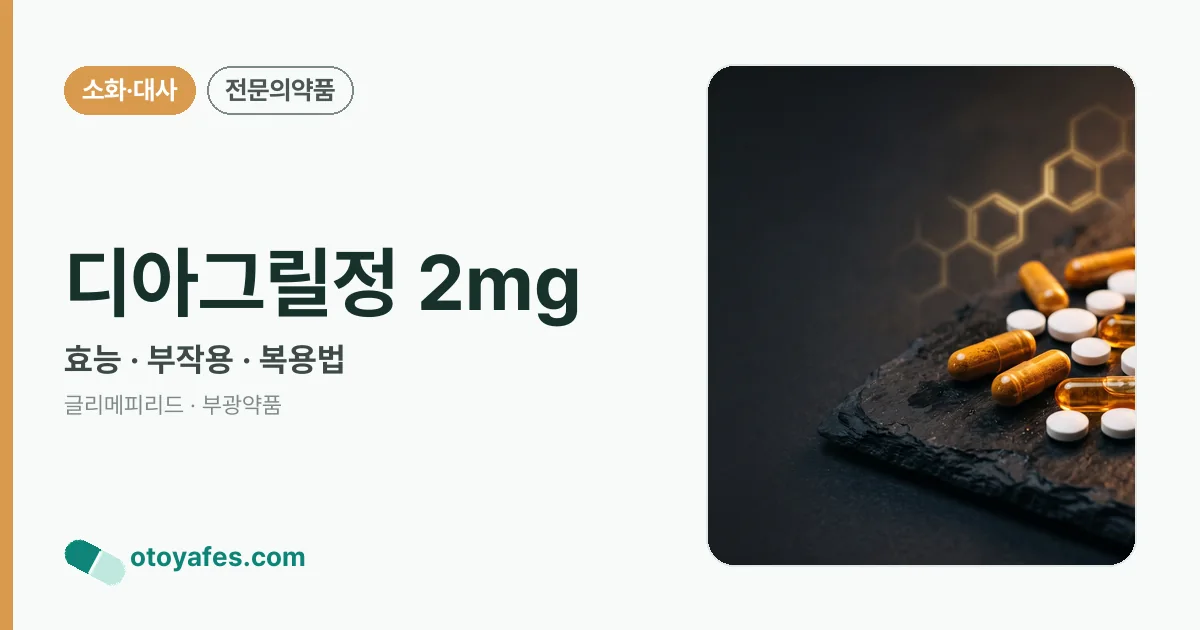 디아그릴정 2mg 정리 썸네일