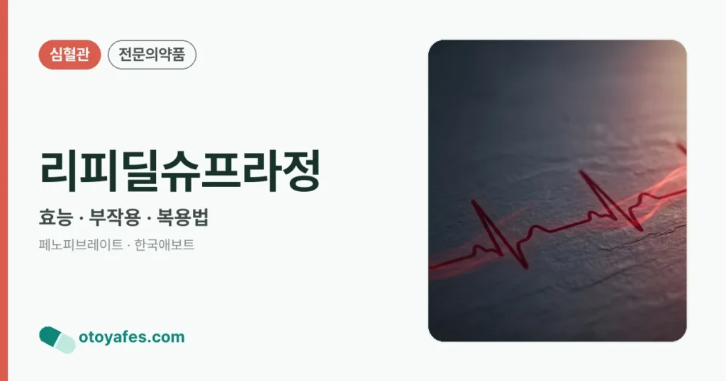리피딜슈프라정 정리 썸네일