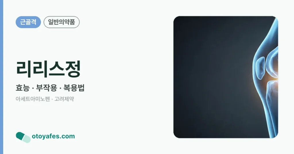 리리스정 정리 썸네일