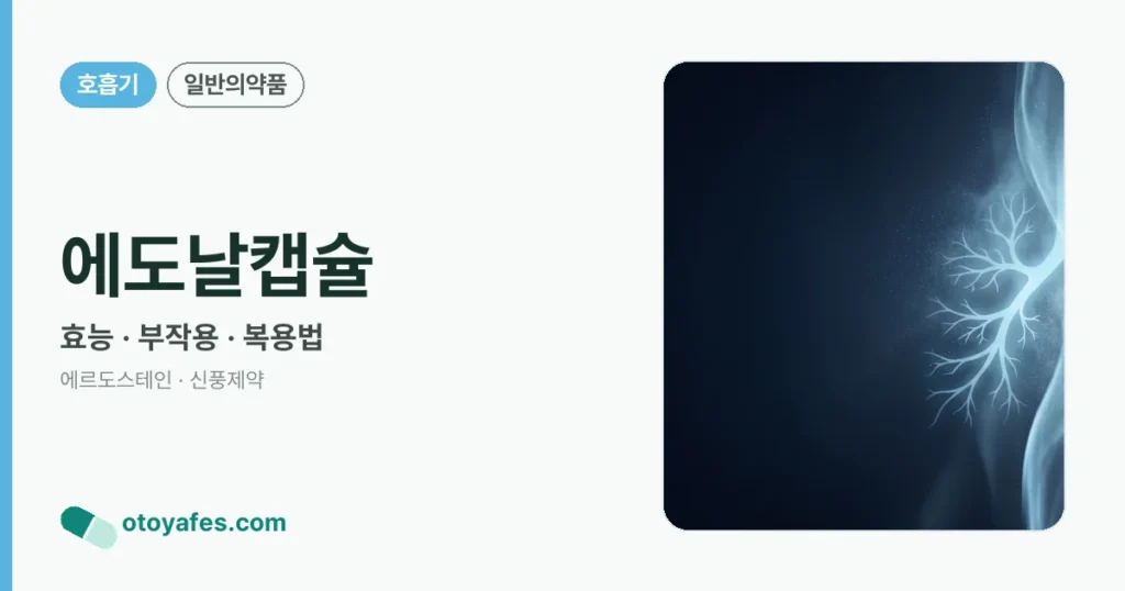 에도날캡슐 정리 썸네일