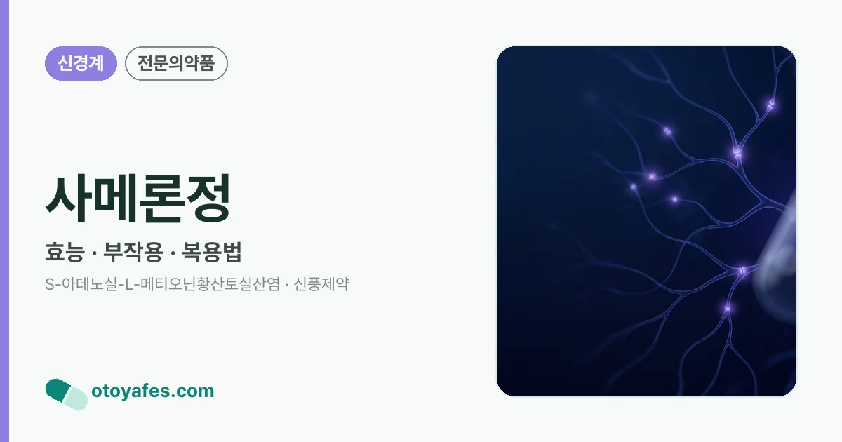 사메론정 정리 썸네일