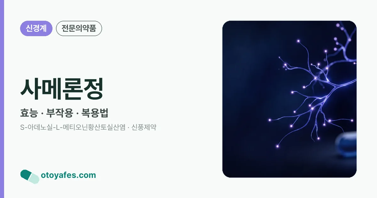 사메론정 정리 썸네일