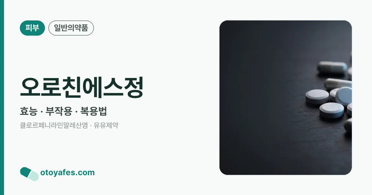오로친에스정 정리 썸네일