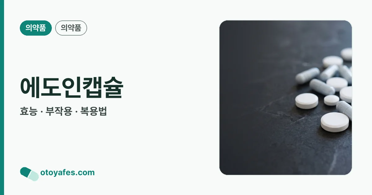 에도인캡슐 정리 썸네일