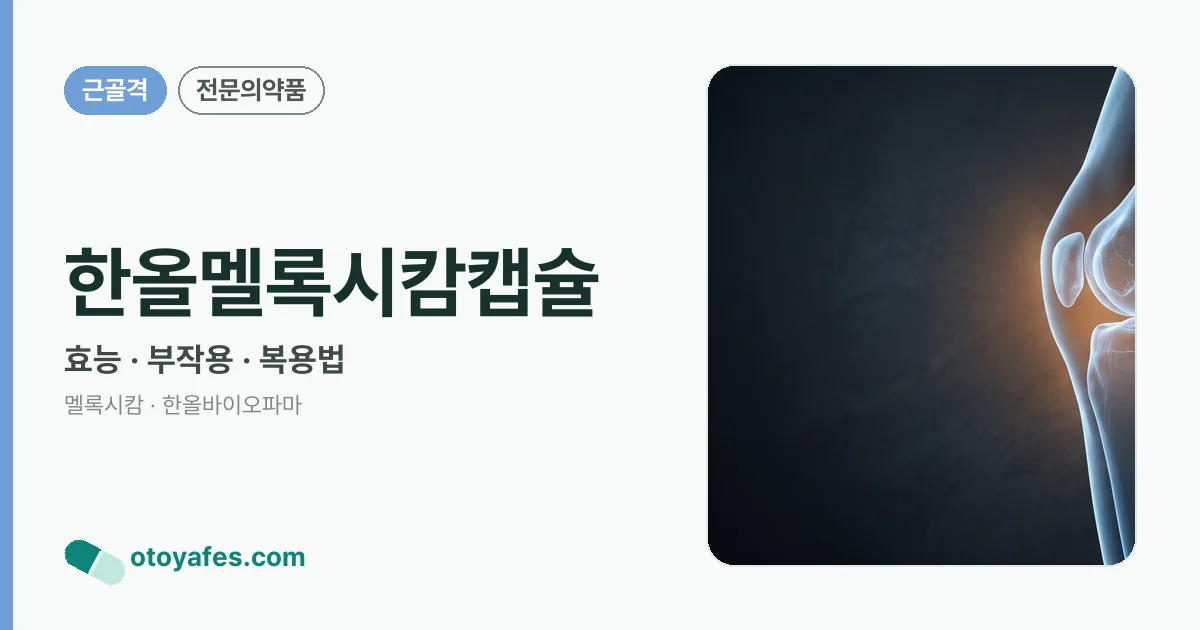 한올멜록시캄캡슐 정리 썸네일