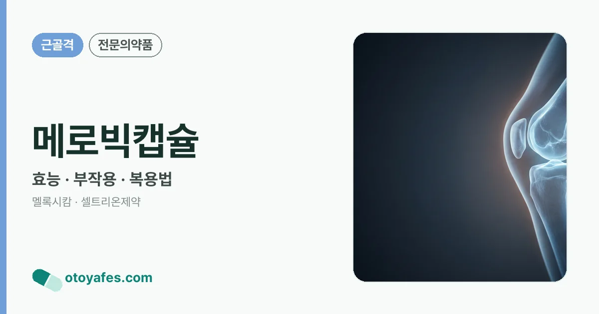 메로빅캡슐 정리 썸네일