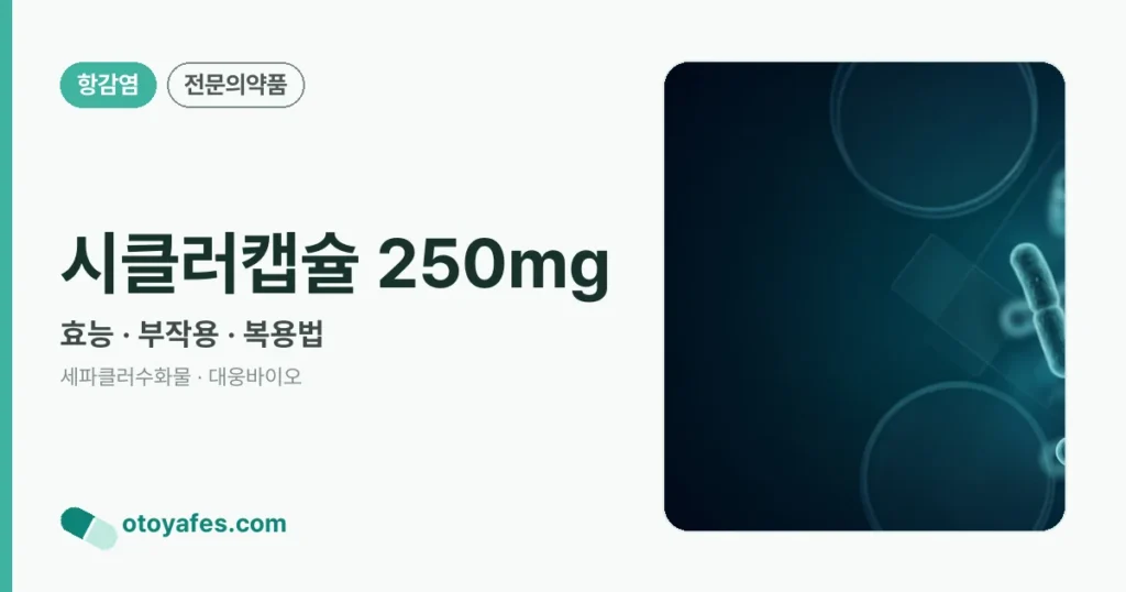 시클러캡슐 250mg 정리 썸네일