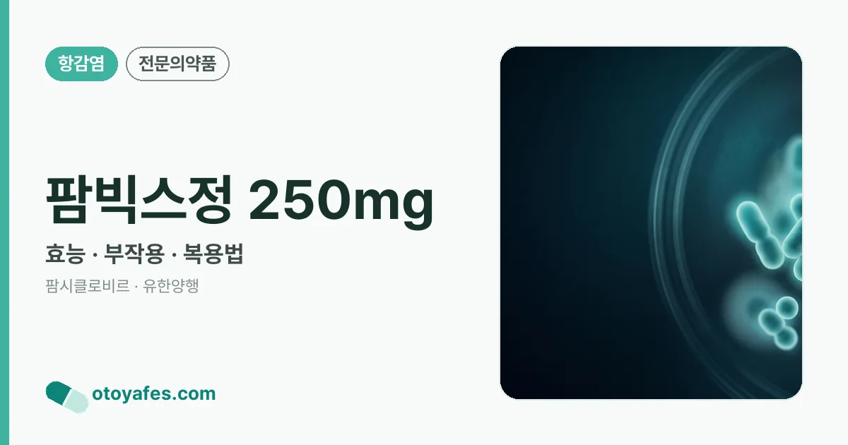 팜빅스정 250mg 정리 썸네일