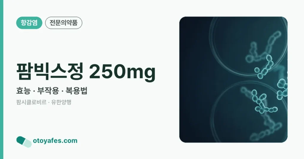 팜빅스정 250mg 정리 썸네일