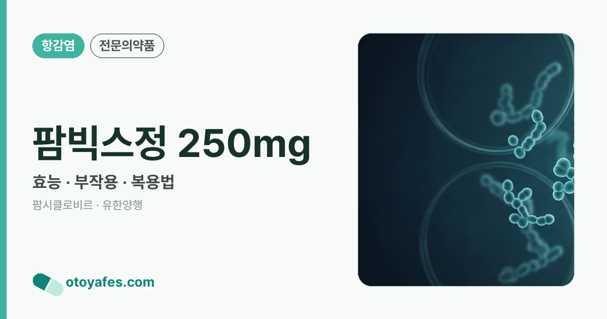 팜빅스정 250mg 정리 썸네일