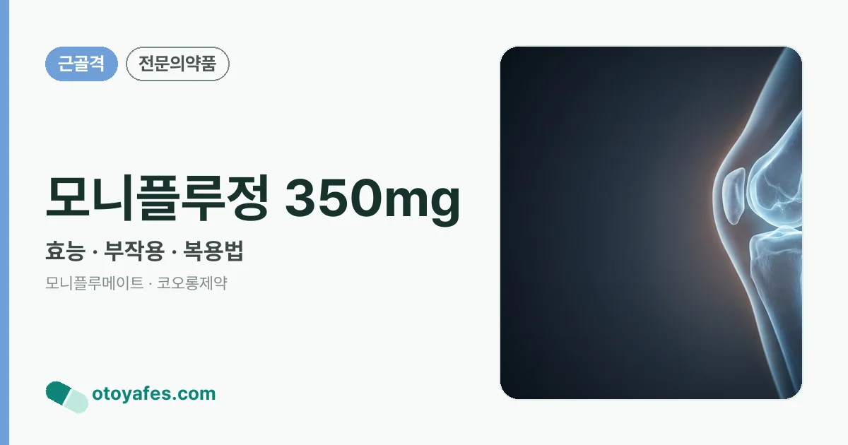 모니플루정 350mg 정리 썸네일