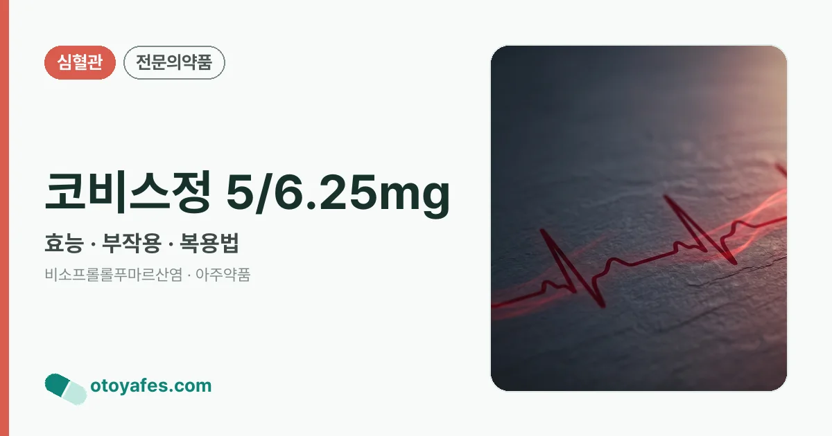 코비스정 5/6.25mg 정리 썸네일