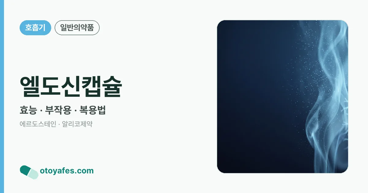 엘도신캡슐 정리 썸네일
