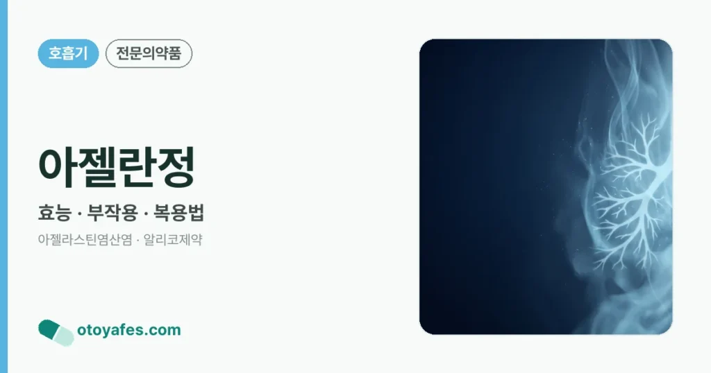 아젤란정 정리 썸네일