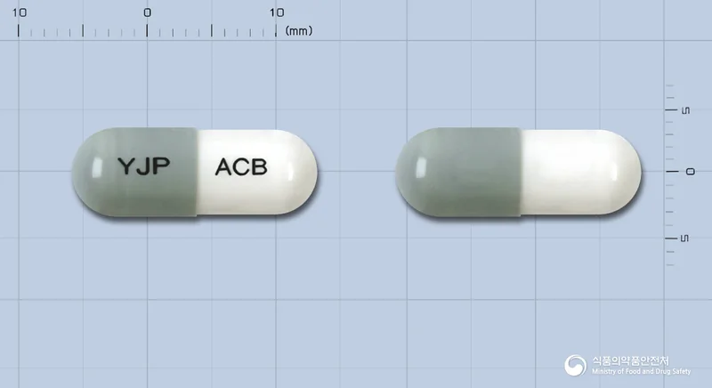 아세브로캡슐100mg 실물 사진