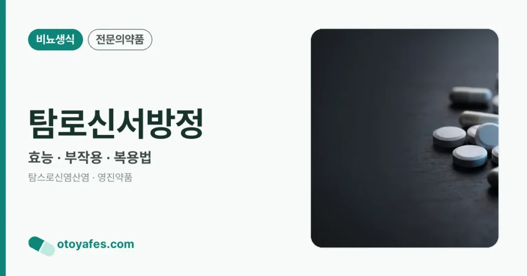 탐로신서방정 정리 썸네일
