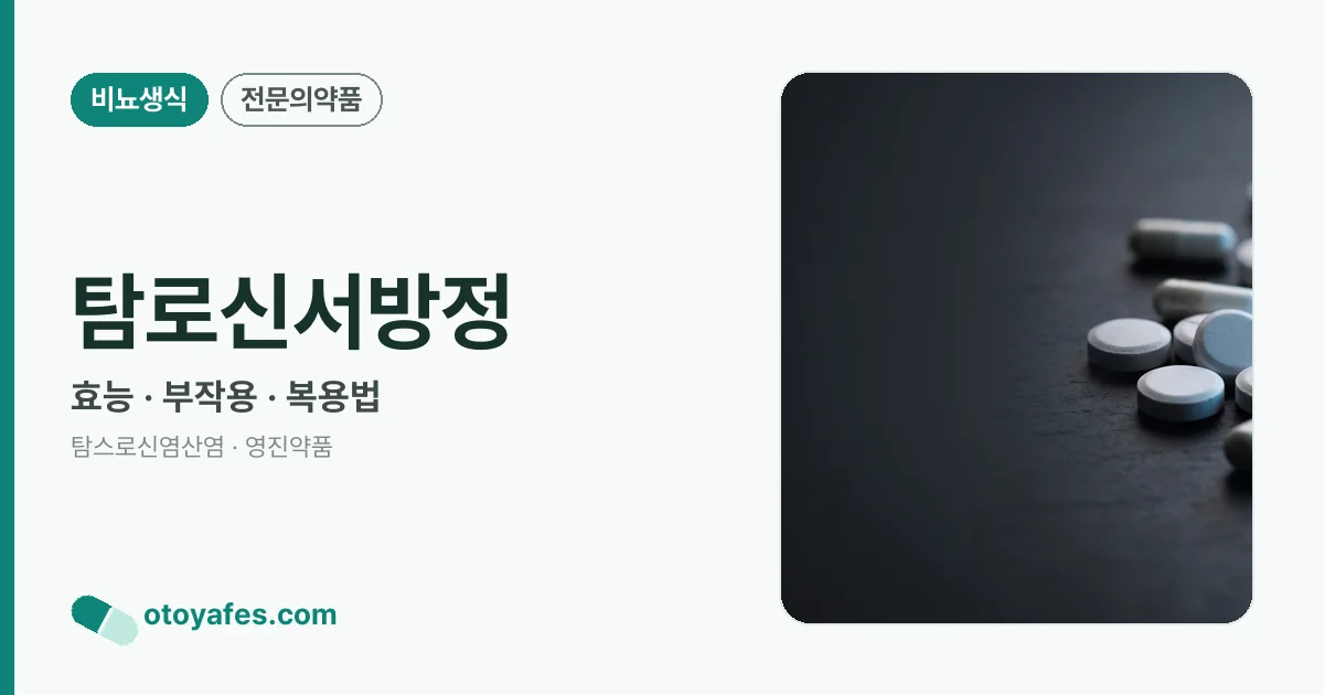 탐로신서방정 정리 썸네일