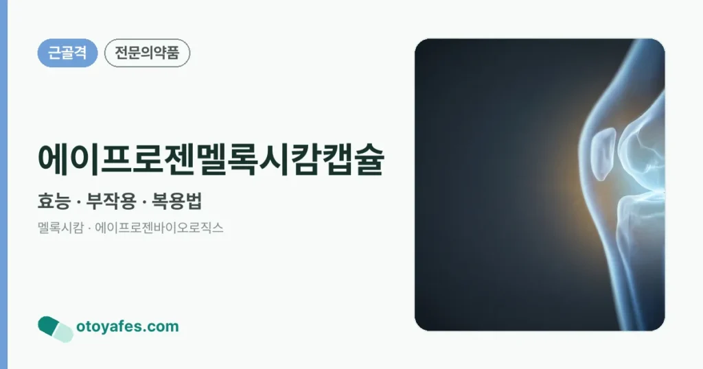 에이프로젠멜록시캄캡슐 정리 썸네일