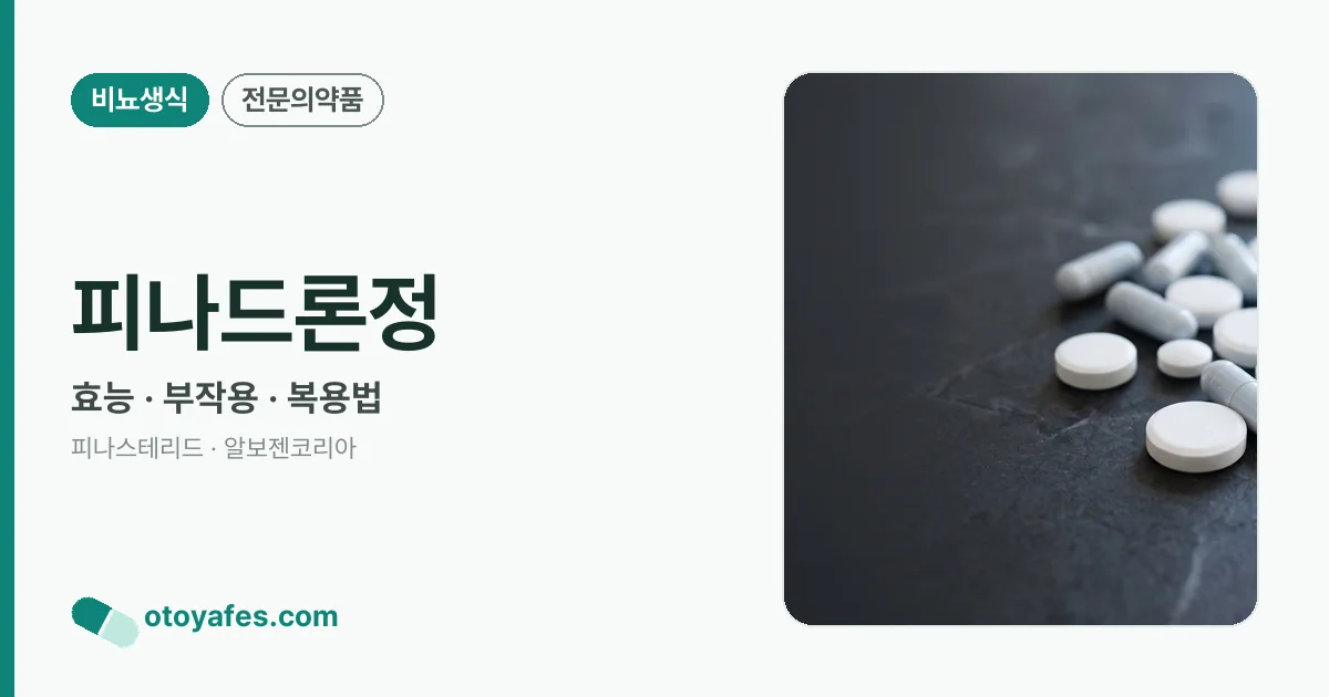 피나드론정 정리 썸네일