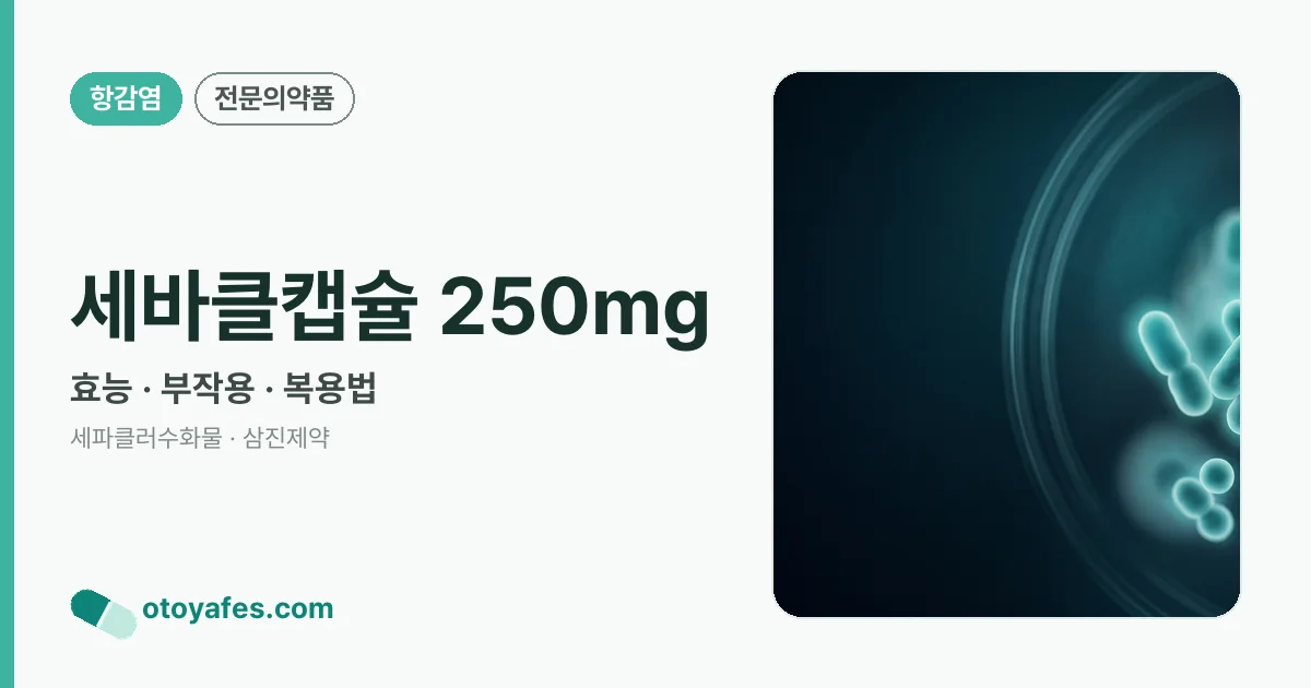 세바클캡슐 250mg 정리 썸네일