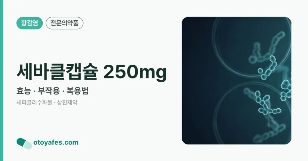 세바클캡슐 250mg 정리 썸네일
