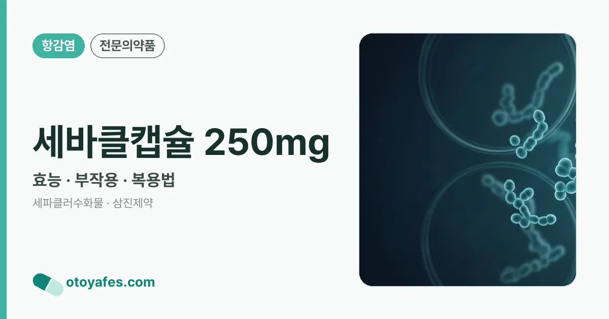 세바클캡슐 250mg 정리 썸네일