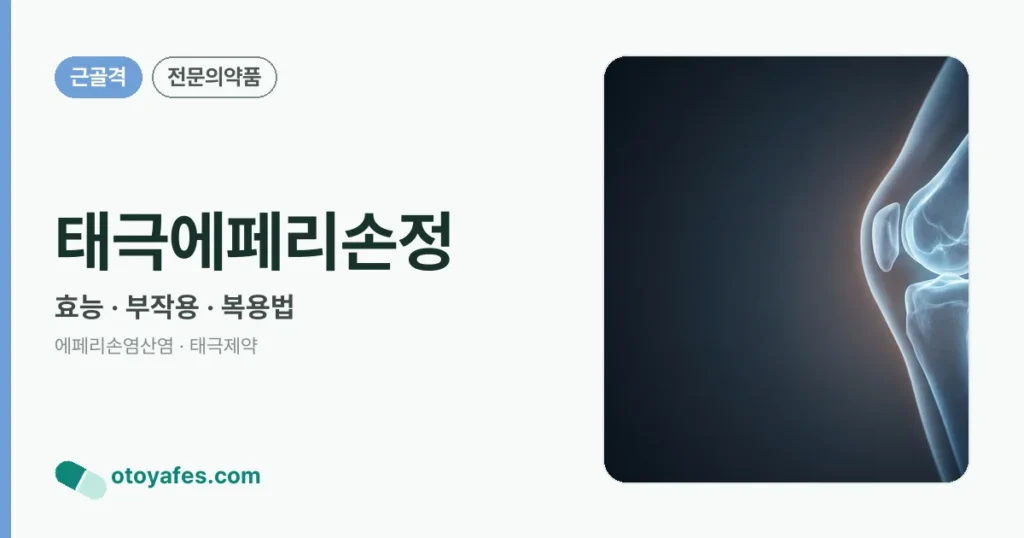 태극에페리손정 정리 썸네일