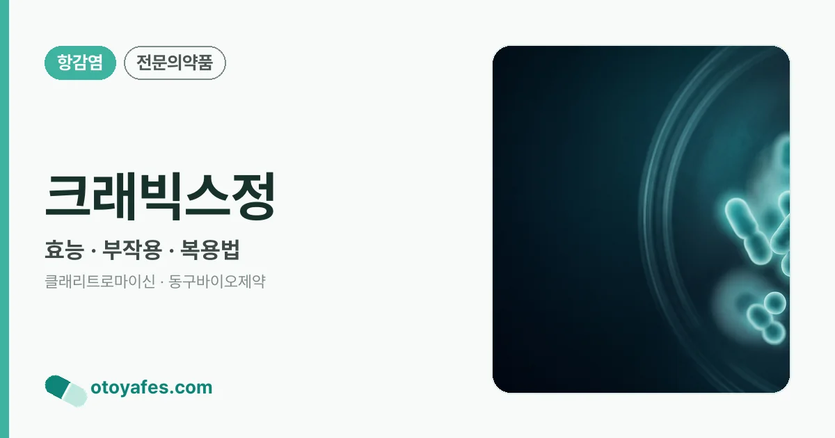 크래빅스정 정리 썸네일