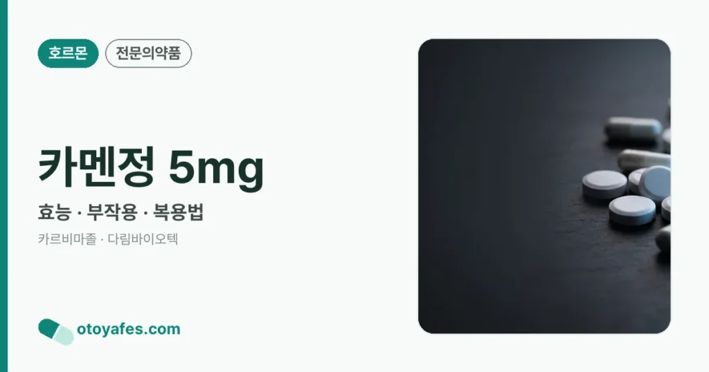 카멘정 5mg 정리 썸네일