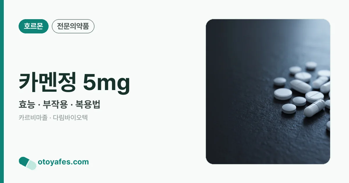 카멘정 5mg 정리 썸네일