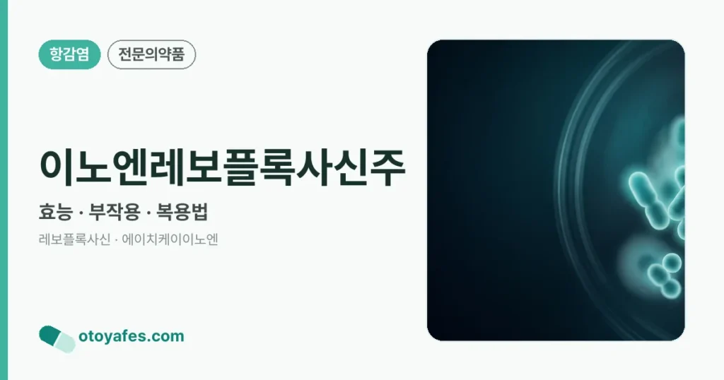 이노엔레보플록사신주 정리 썸네일