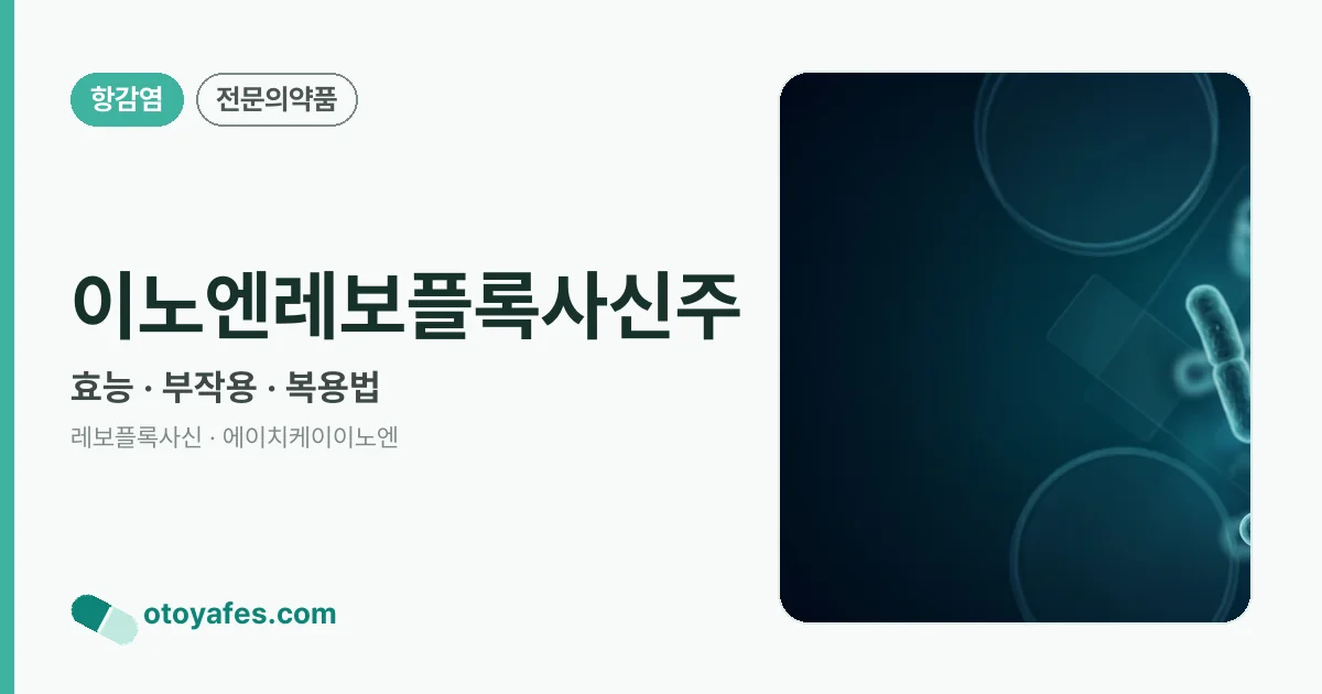 이노엔레보플록사신주 정리 썸네일