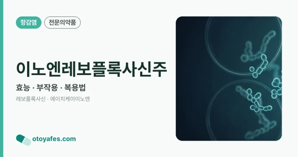 이노엔레보플록사신주 정리 썸네일