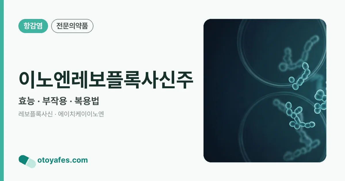 이노엔레보플록사신주 정리 썸네일