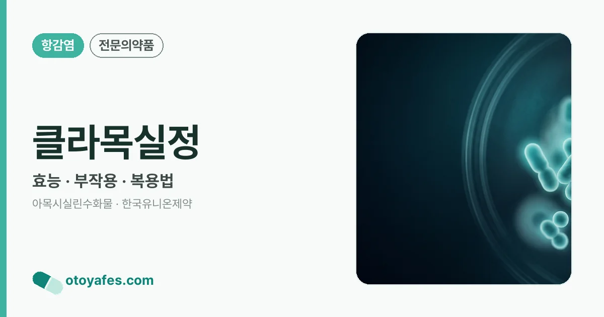 클라목실정 정리 썸네일